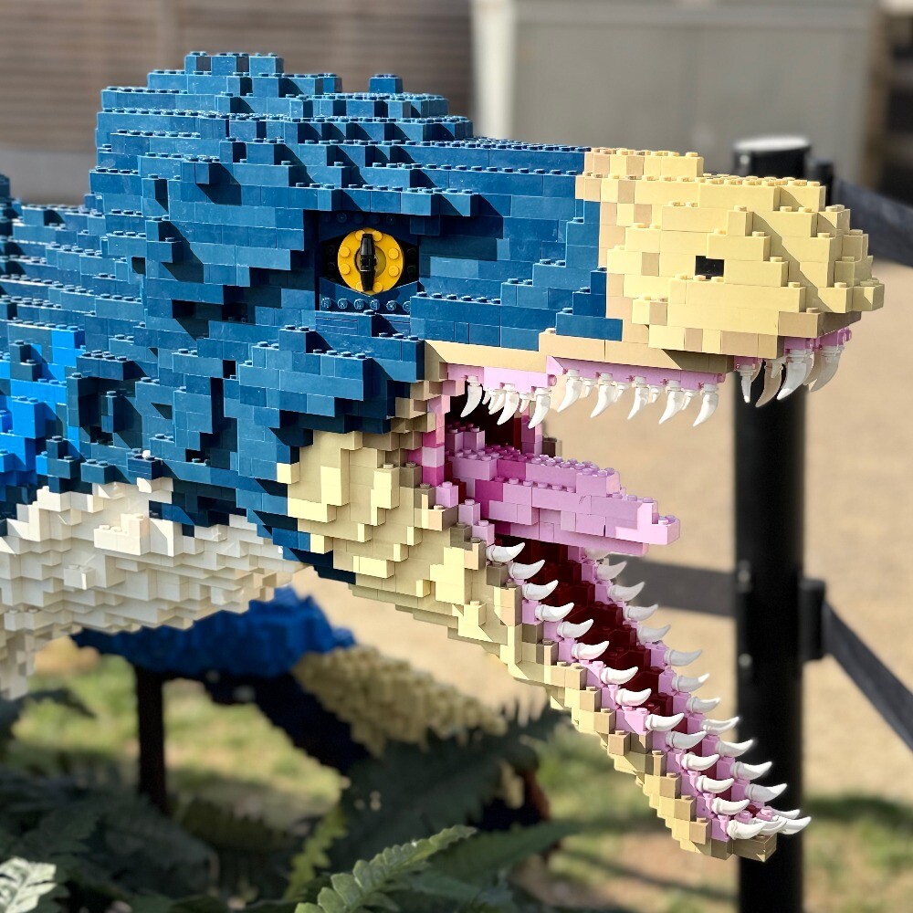 Dinosaur Brick Trail Extended at The Valley Evesham | Aztec Adventure The Lost Valley